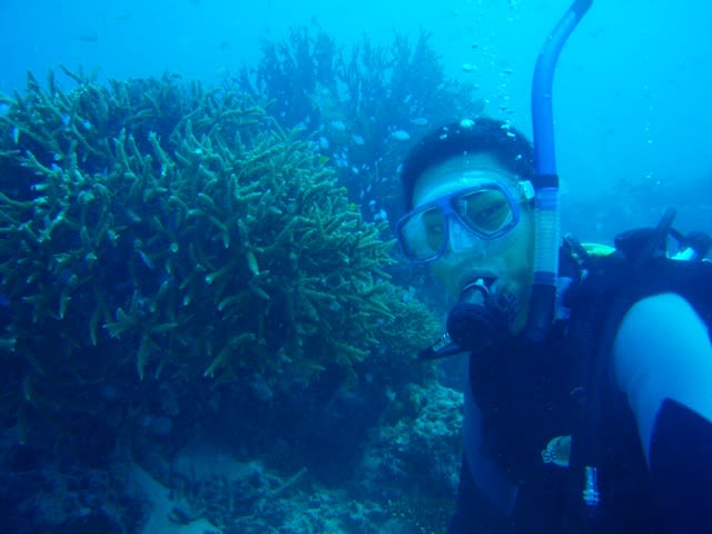 P1010010_2 P1010010_2