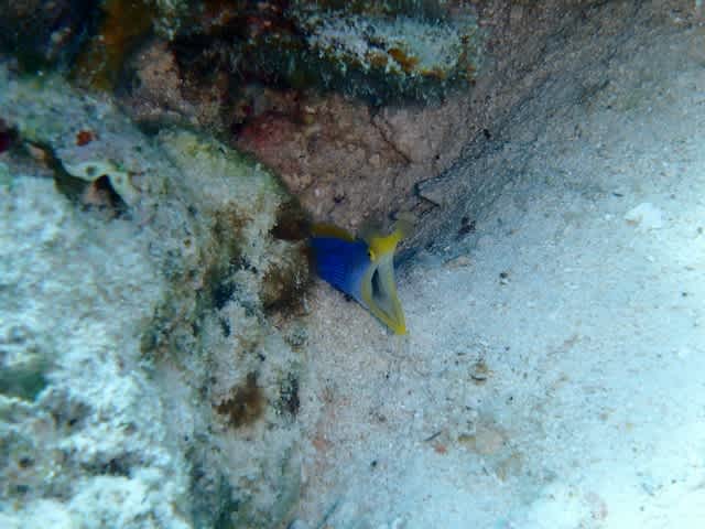 P5270013_640x480 P5270013_640x480