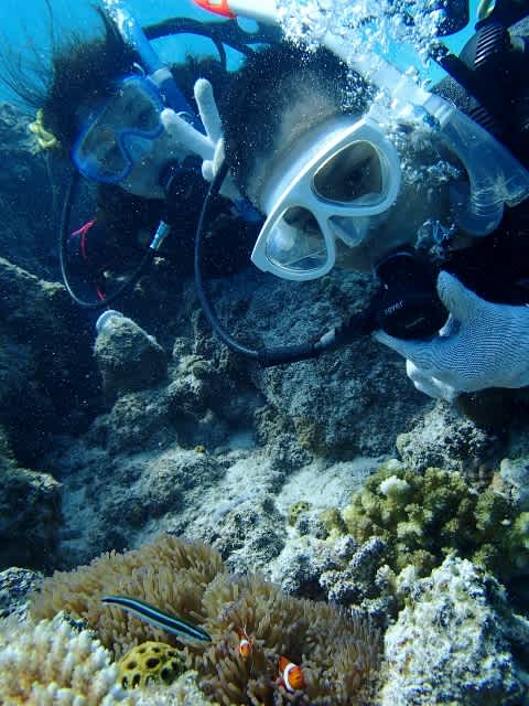 P9250009_480x640 P9250009_480x640