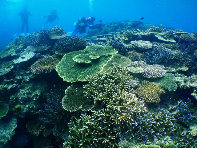 2_p1010021 2_p1010021