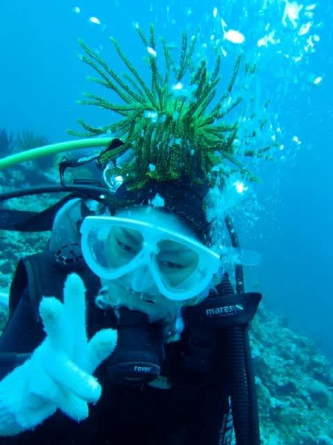 P4070092_479x640 P4070092_479x640