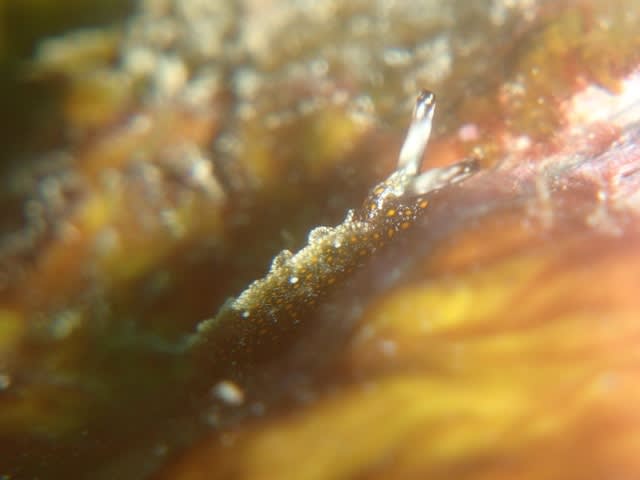 Pa260029_640x480 Pa260029_640x480