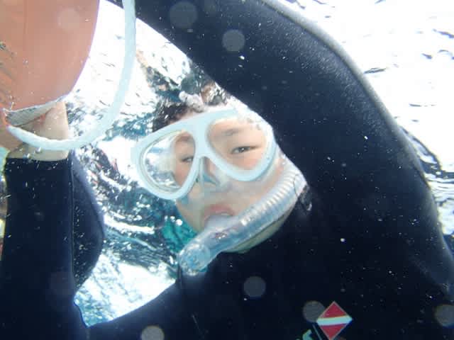 P40200031_640x480 P40200031_640x480