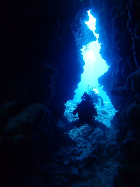 P9267497_480x640 P9267497_480x640