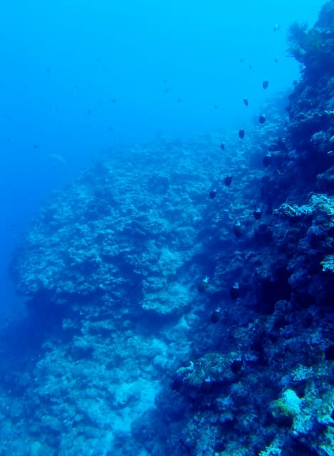 P52700011_469x640 P52700011_469x640