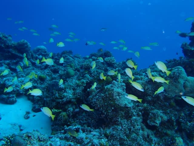 Pa200009_640x480 Pa200009_640x480