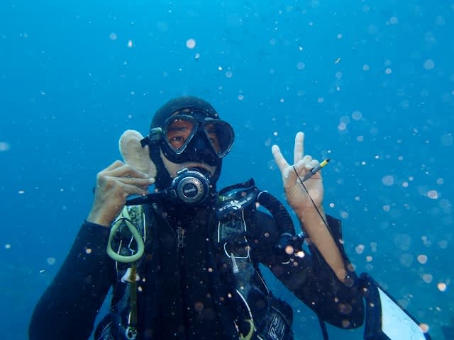 P9200008_640x480 P9200008_640x480