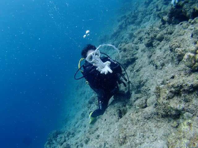 P9200027_640x480 P9200027_640x480