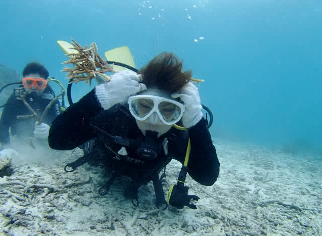 P4270018_640x470 P4270018_640x470