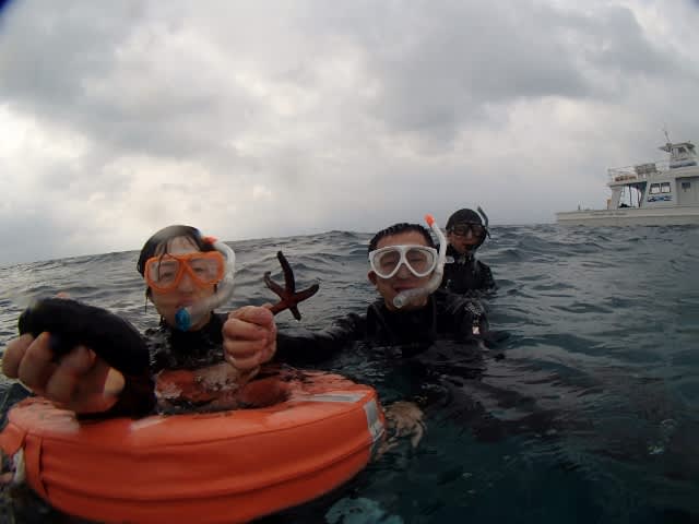 P4060013_640x480 P4060013_640x480