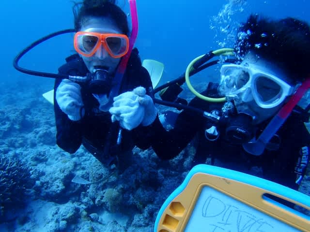 Pa070024_640x480 Pa070024_640x480