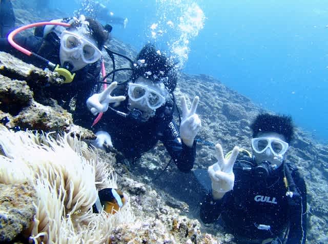 P8135151_640x476_2 P8135151_640x476_2