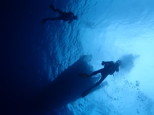 P50500031_640x480 P50500031_640x480