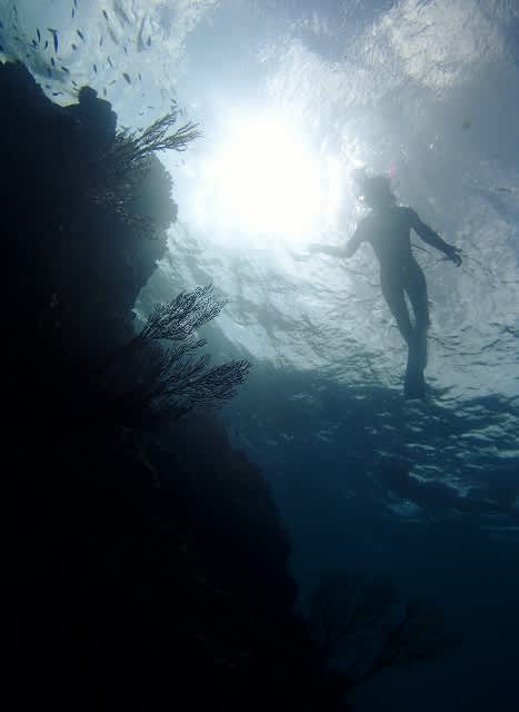 Pa198453_467x640 Pa198453_467x640