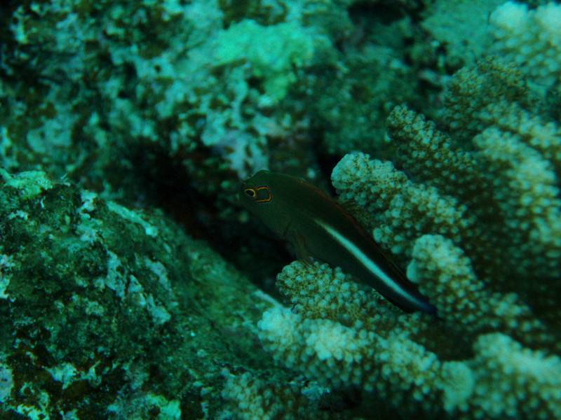 Pb270011_5 Pb270011_5