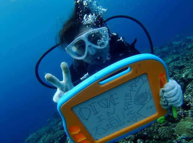 P9220061_640x476 P9220061_640x476