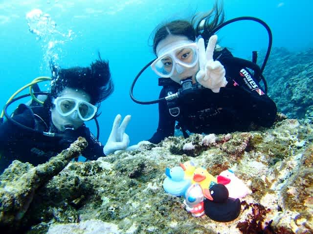 P8135201_640x479 P8135201_640x479