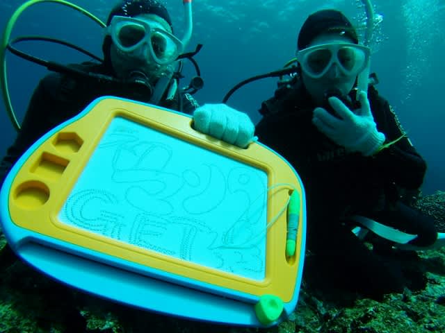 P3230032_640x480 P3230032_640x480