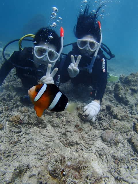 P9300042_480x640 P9300042_480x640