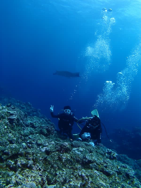 P6270026_600x800 P6270026_600x800