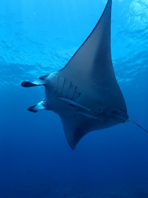 P9230058_640x480 P9230058_640x480