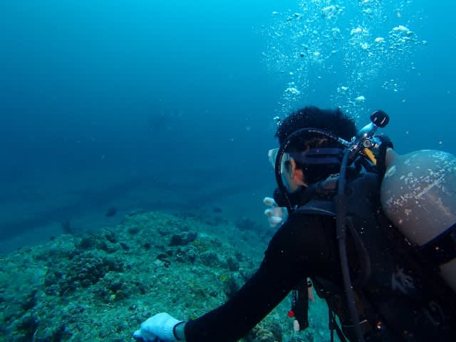 P8170034_640x480 P8170034_640x480