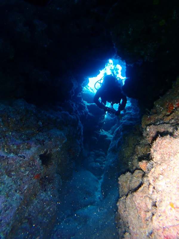 P5310052_1024x768 P5310052_1024x768