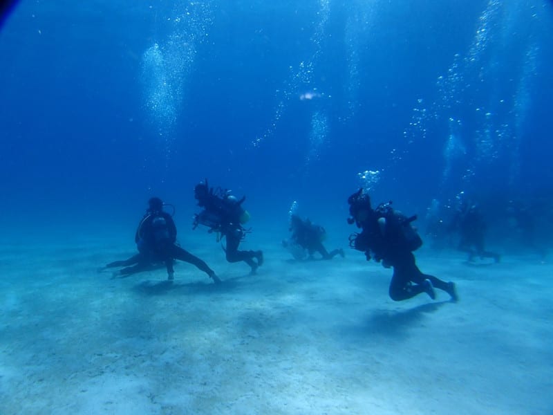 P5310105_1024x768 P5310105_1024x768