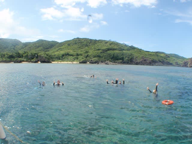 P7060008_2 P7060008_2