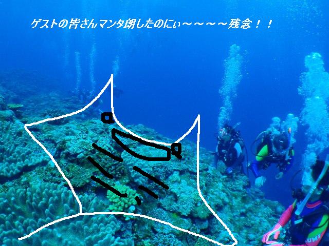 P5190010_2 P5190010_2