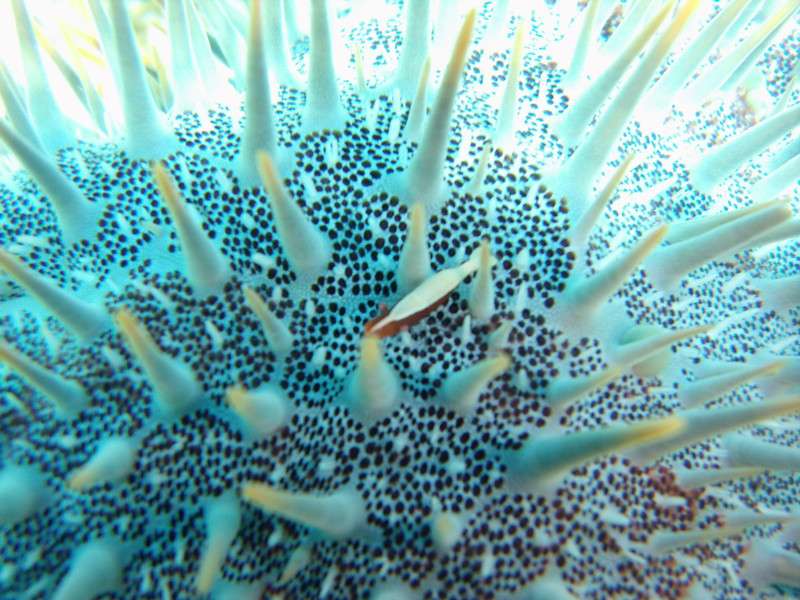 Gedc0003_2 Gedc0003_2