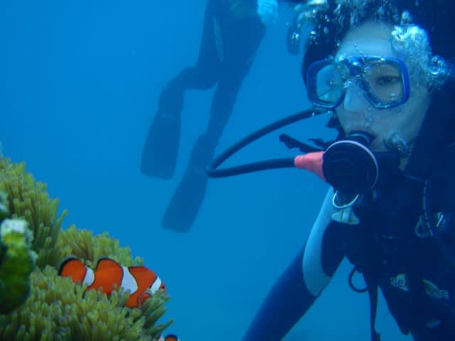 P4280036_2 P4280036_2