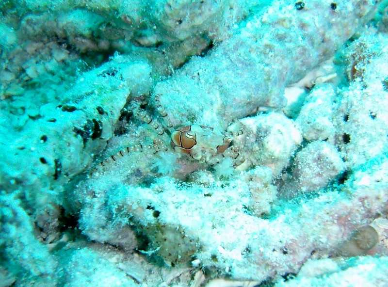 Gedc0007_2 Gedc0007_2