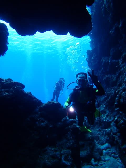 P9250003_480x640 P9250003_480x640