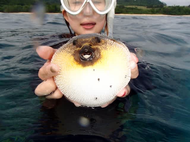 P4200106_640x480 P4200106_640x480