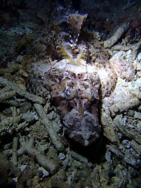 P6130035_640x480 P6130035_640x480