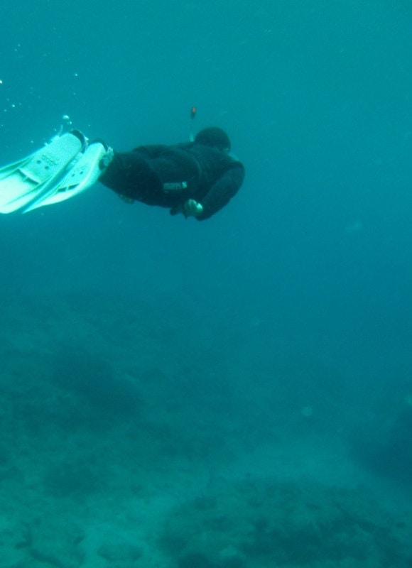 Gedc0011_2 Gedc0011_2