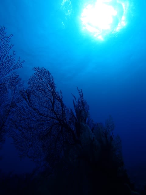 Pa220007_480x640 Pa220007_480x640