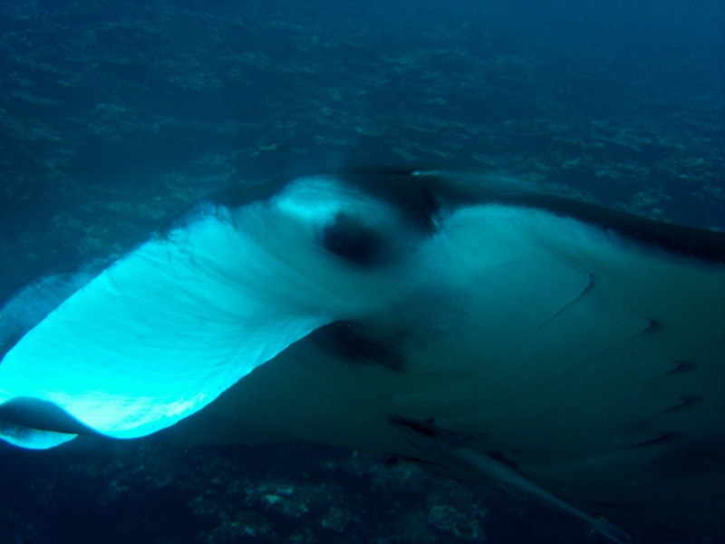 Gedc0040_2 Gedc0040_2