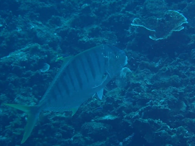 P9307844_640x480 P9307844_640x480