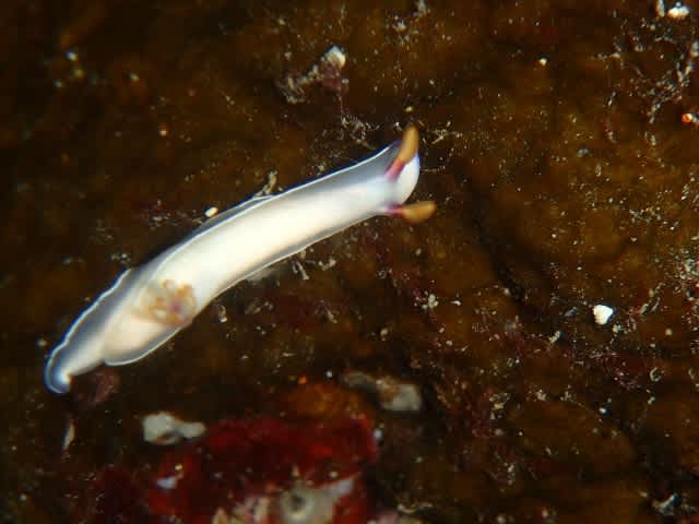 P9290033_640x480 P9290033_640x480