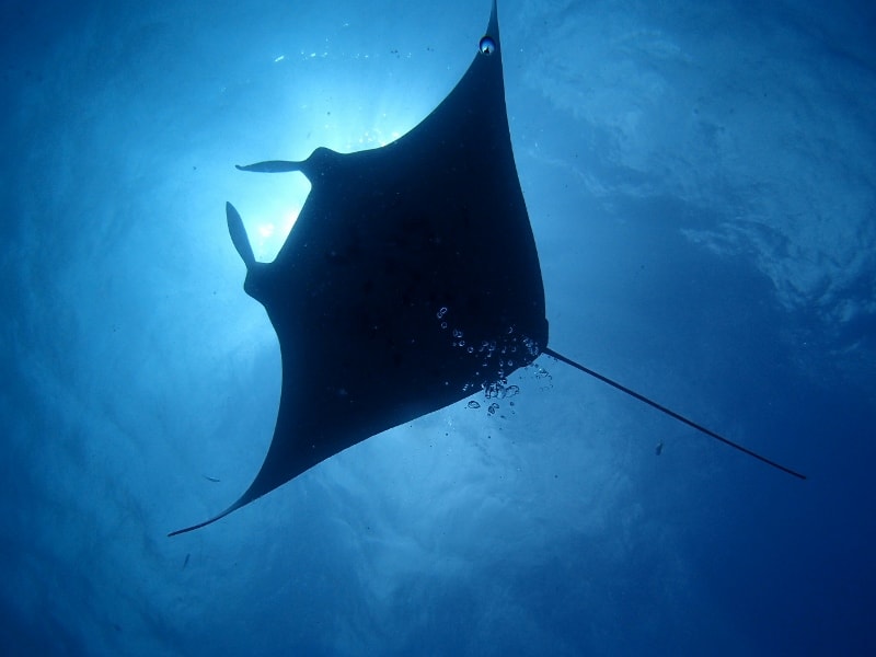 P6240023_800x600 P6240023_800x600