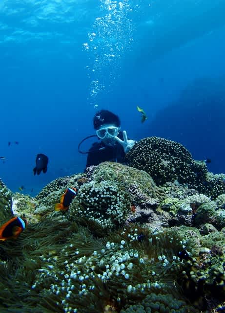 Pa160004_461x640 Pa160004_461x640