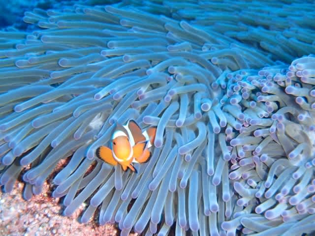 Pa260002_640x480 Pa260002_640x480