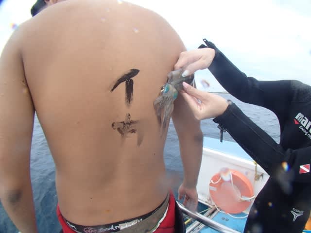 P9056343_640x480 P9056343_640x480