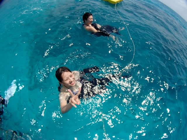 P9046332_640x480 P9046332_640x480