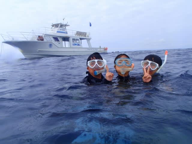 P3280421_640x480 P3280421_640x480