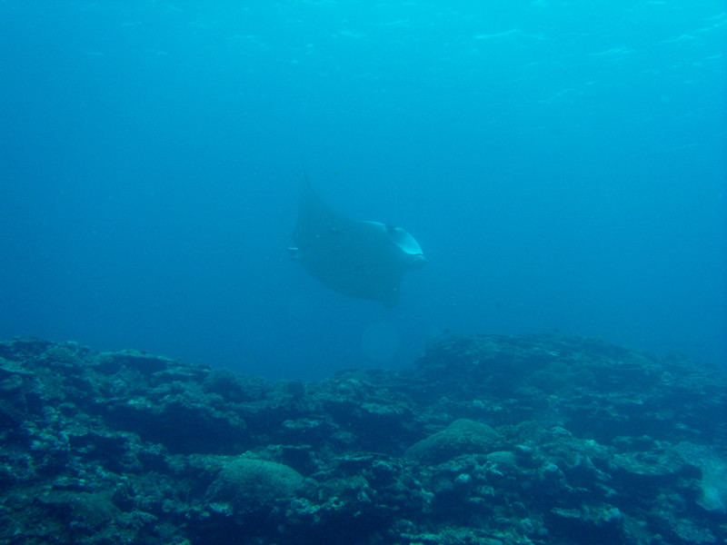 Gedc0091_3 Gedc0091_3