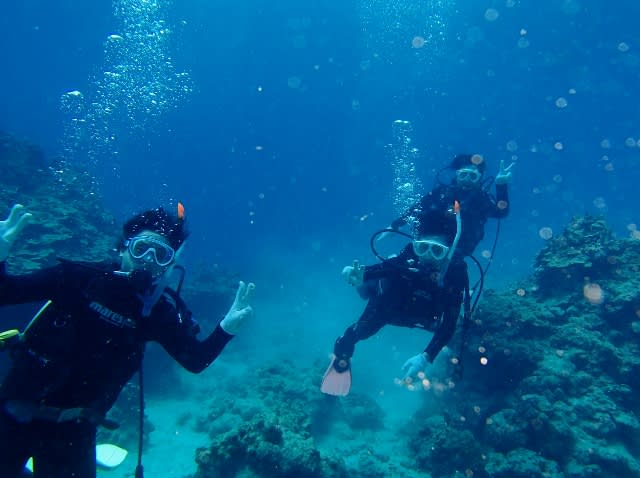 P9086472_640x478 P9086472_640x478