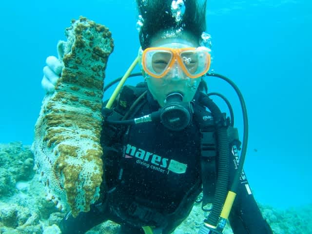 P3280079_640x480 P3280079_640x480